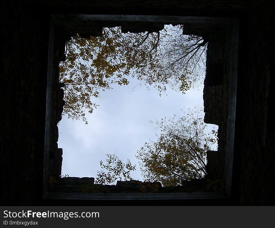 Sky, Window, Tree, Picture Frame