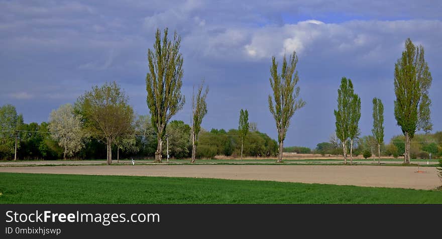 Sky, Tree, Field, Grassland