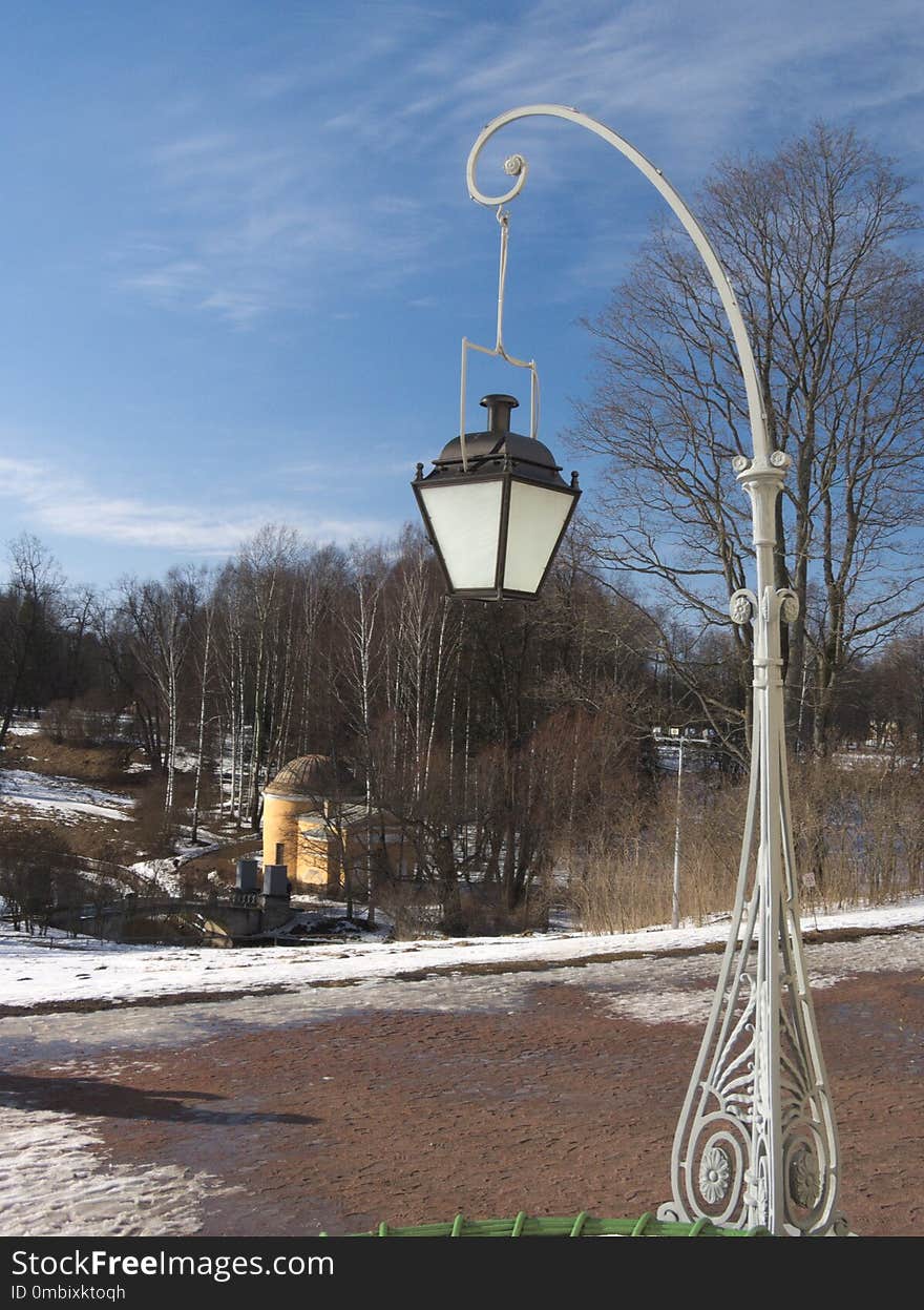 Street Light, Sky, Tree, Winter