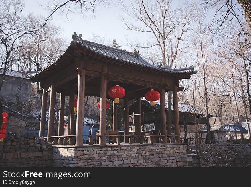 Chinese Architecture, Building, Tree, Shinto Shrine