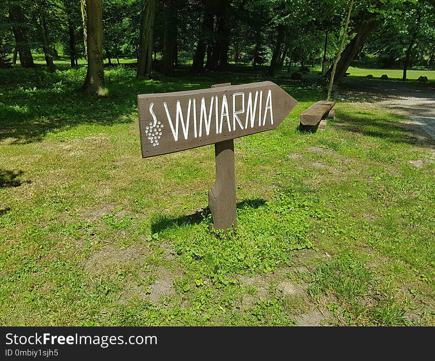 Nature Reserve, Path, Grass, Tree