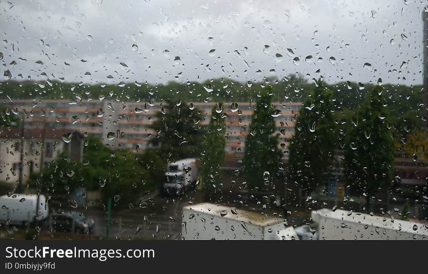 Rain, Residential Area, Suburb, Tree