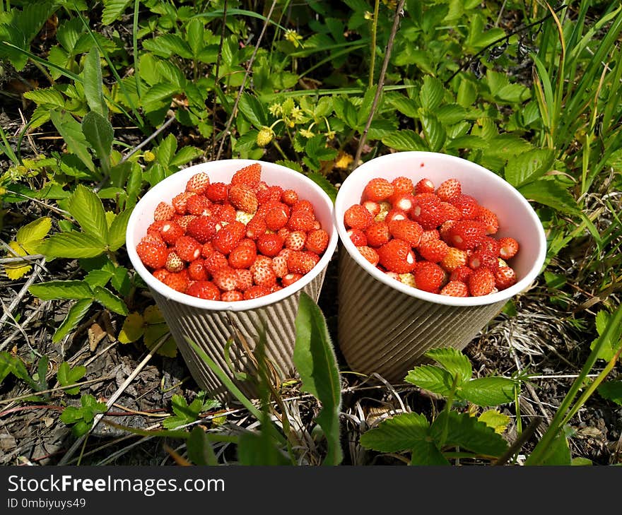 Natural Foods, Fruit, Local Food, Berry