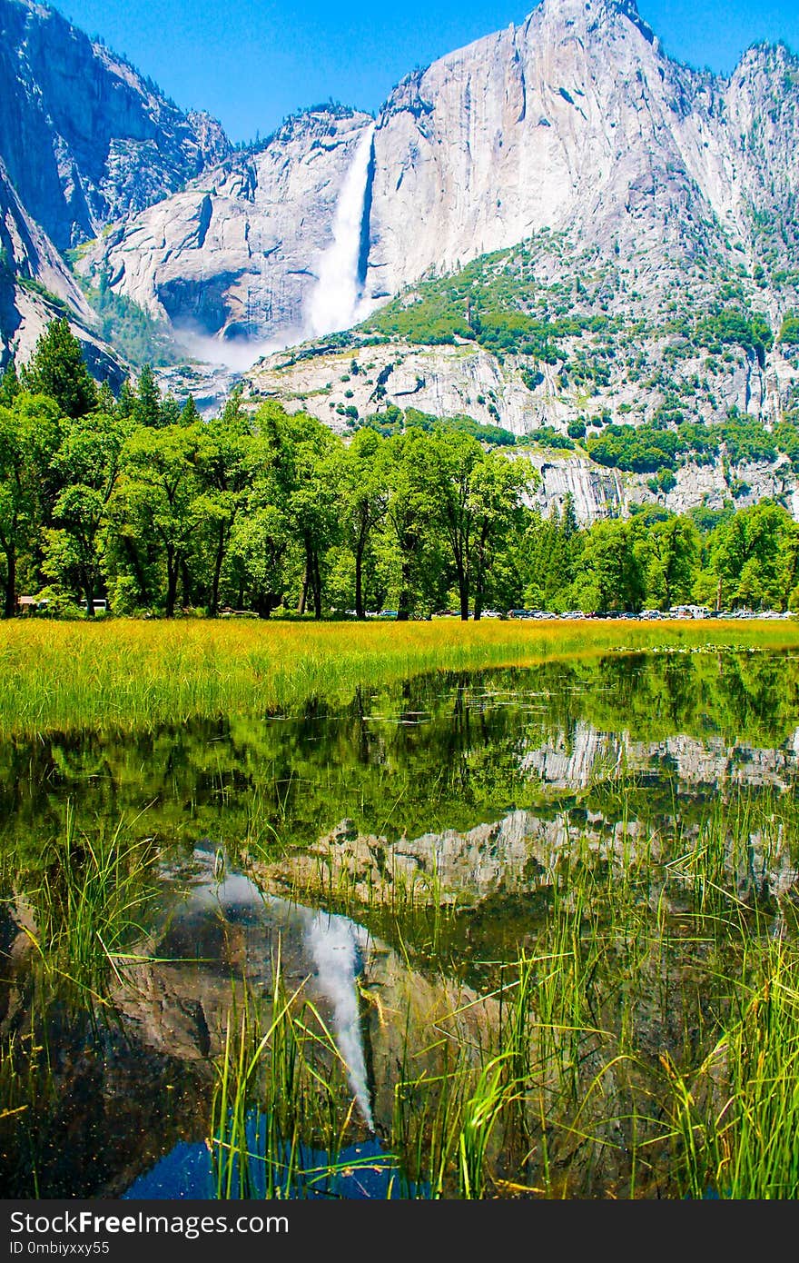 Nature, Wilderness, Nature Reserve, Reflection