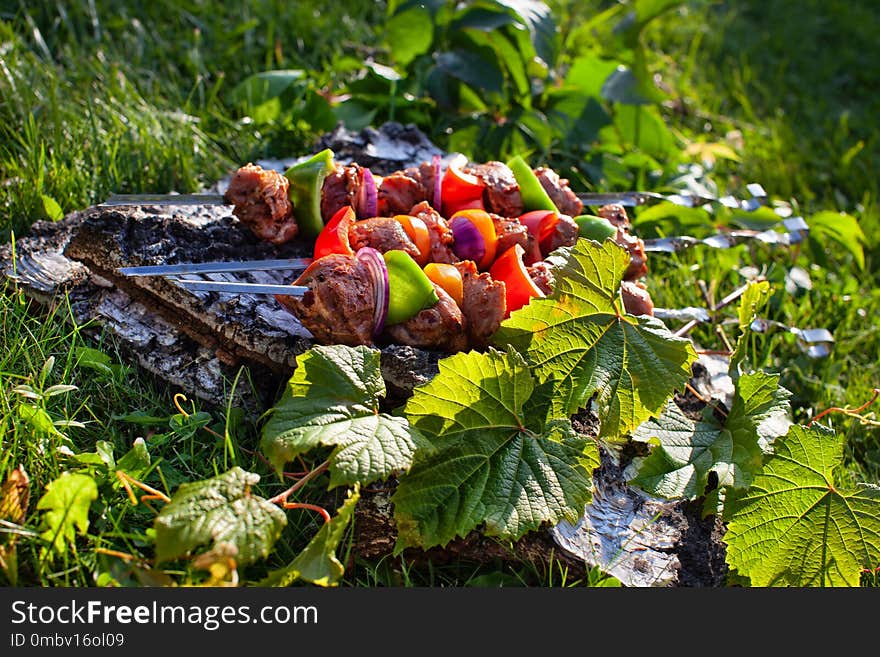 Shashlik On The Grass