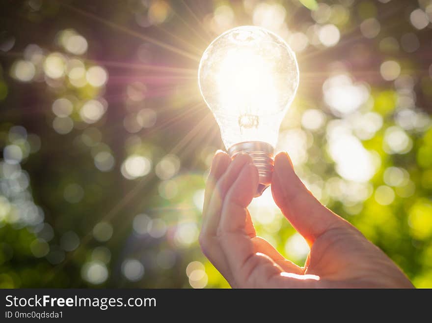 Hand holding light bulb in nature on green background for energy concept.