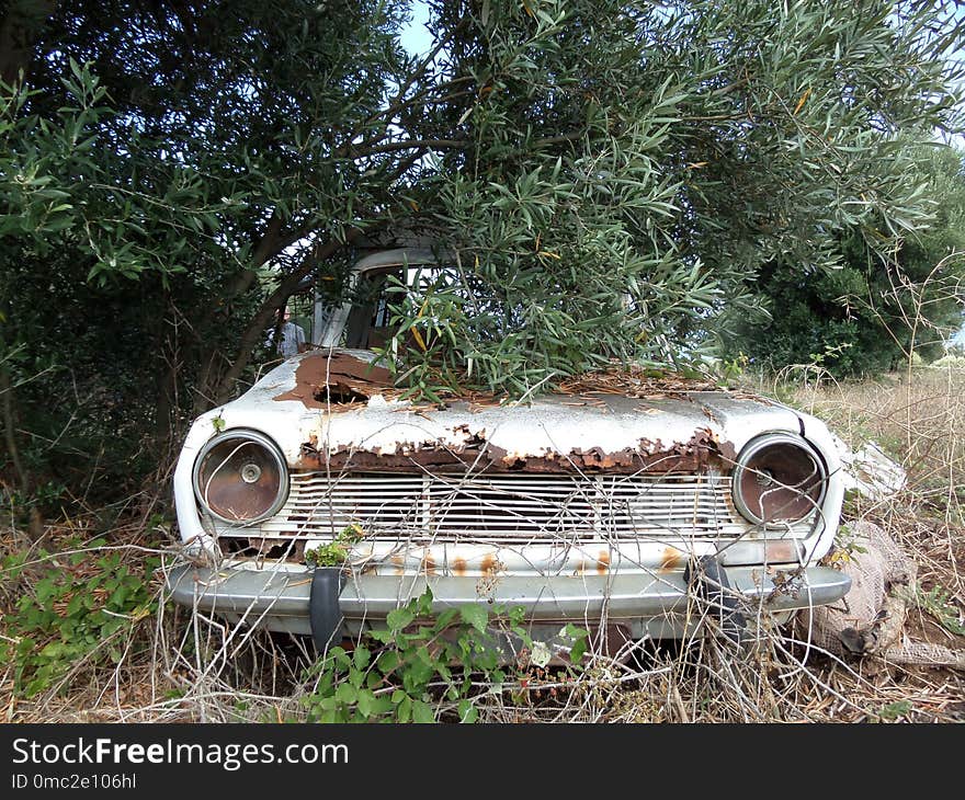 Motor Vehicle, Car, Vehicle, Vintage Car