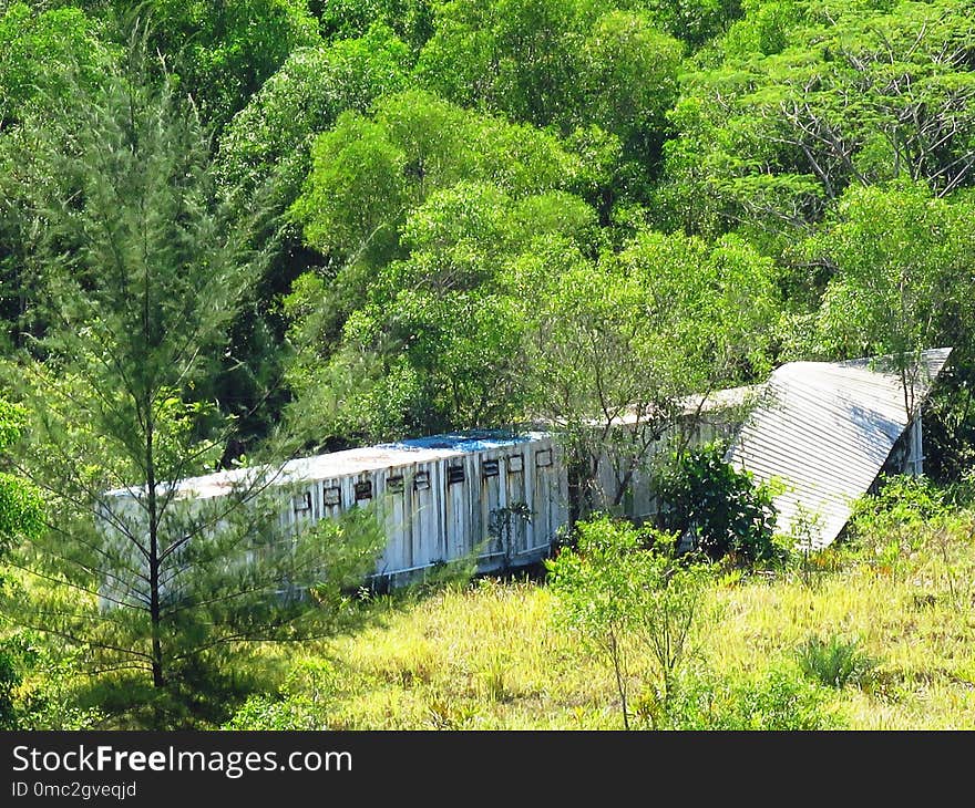 Nature Reserve, Vegetation, Tree, Rural Area