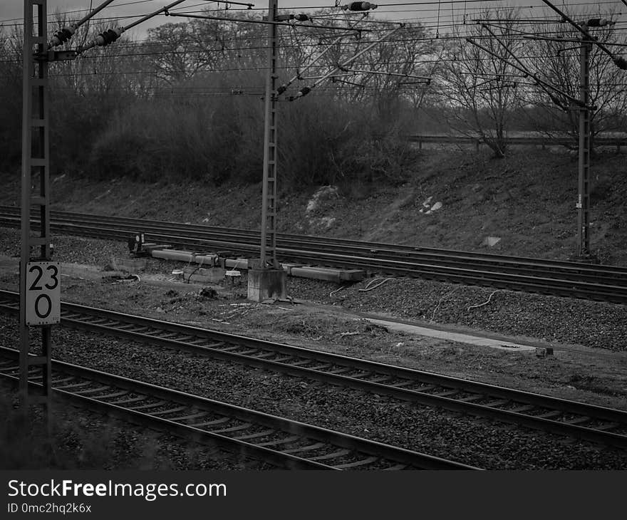 Track, Black And White, Rail Transport, Tree