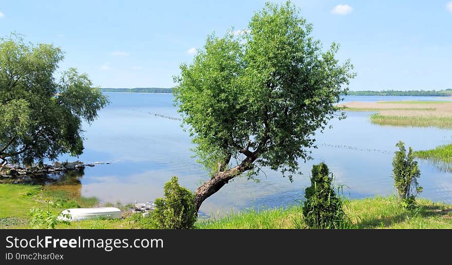 Nature Reserve, Vegetation, Tree, Ecosystem