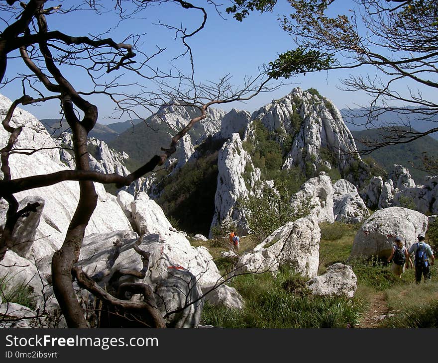 Rock, Tree, Wilderness, Mountain