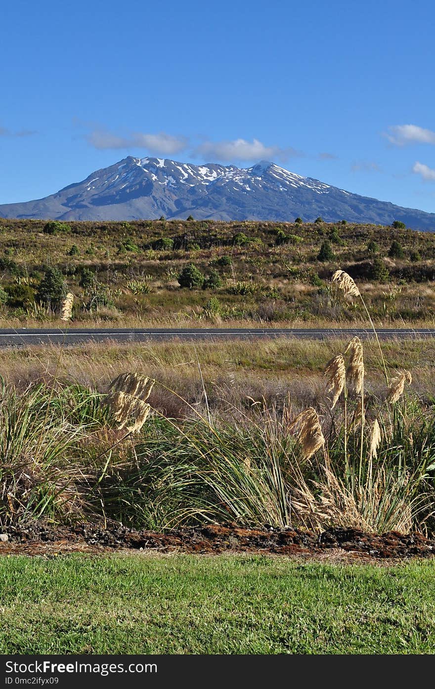 Sky, Vegetation, Ecosystem, Grassland