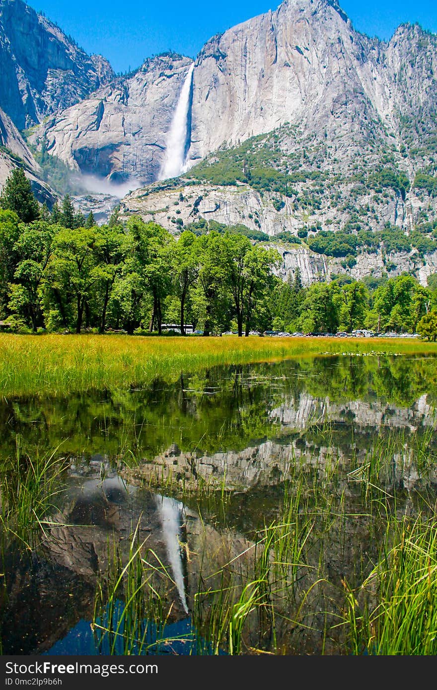 Nature, Wilderness, Reflection, Vegetation