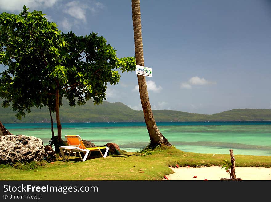 Sky, Leisure, Shore, Tree