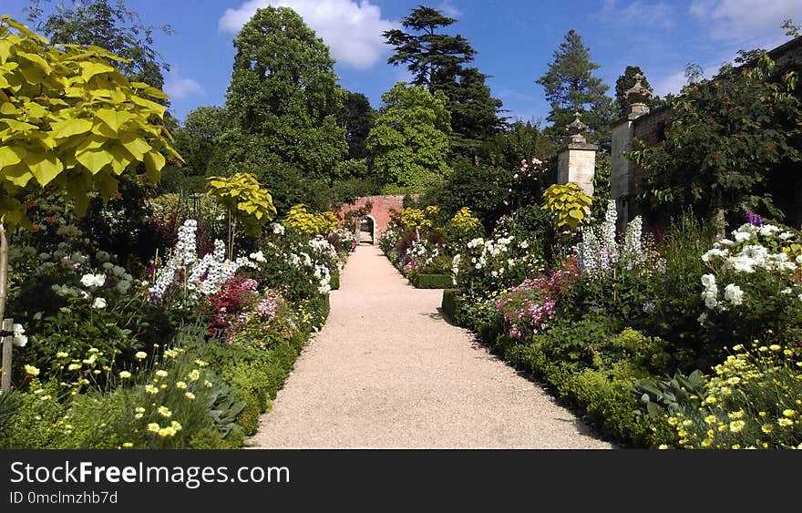 Garden, Flower, Botanical Garden, Property