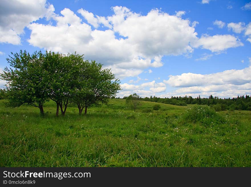 Sky, Grassland, Cloud, Vegetation