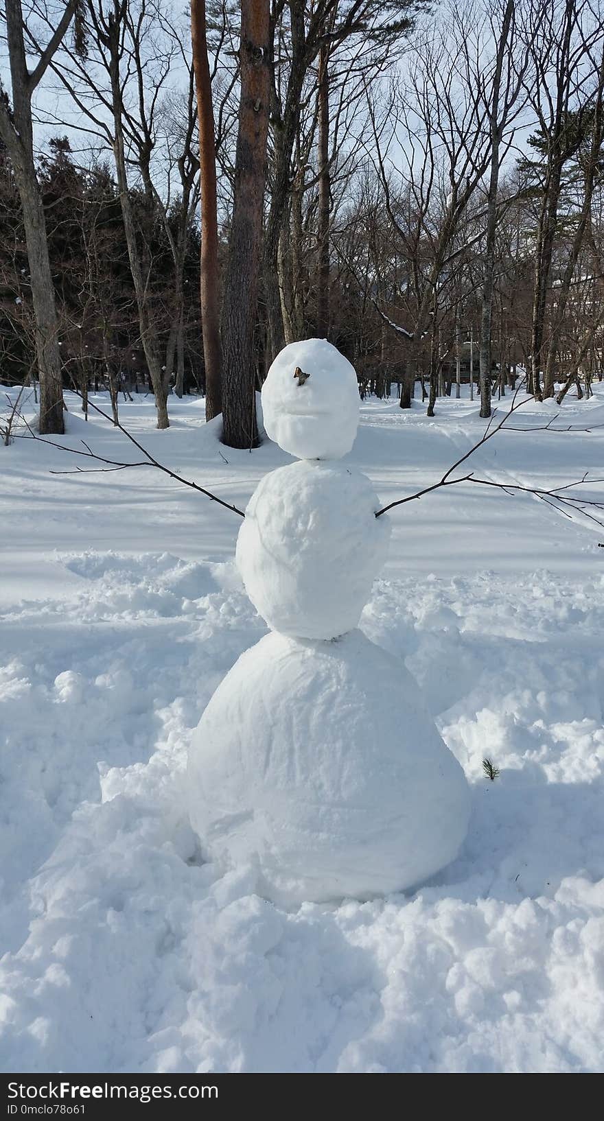 Snow, Snowman, Winter, Freezing