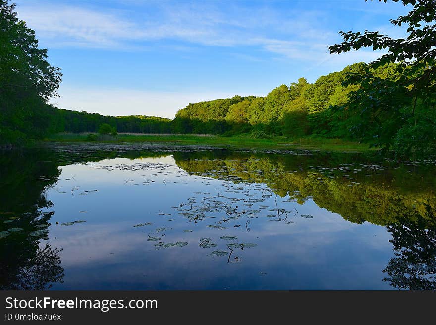 Reflection, Water, Nature, River