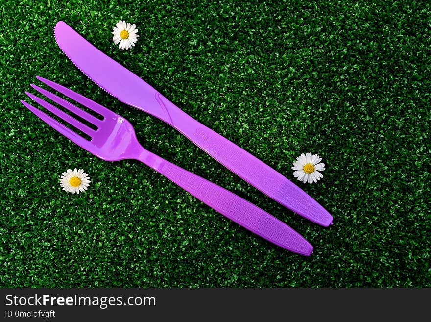 Flower, Purple, Grass, Flora