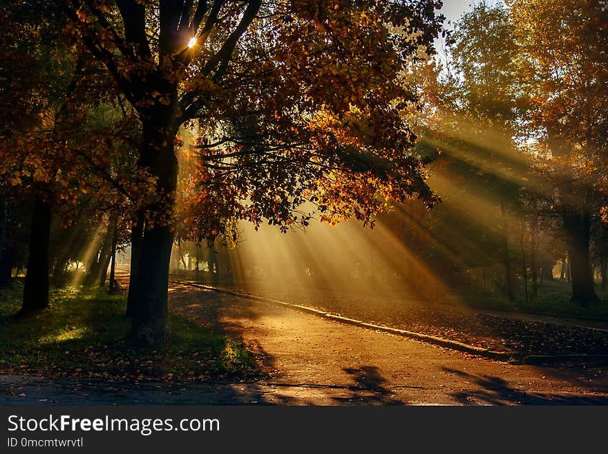 Autumn In The City Park. The City Of Khmelnitsky