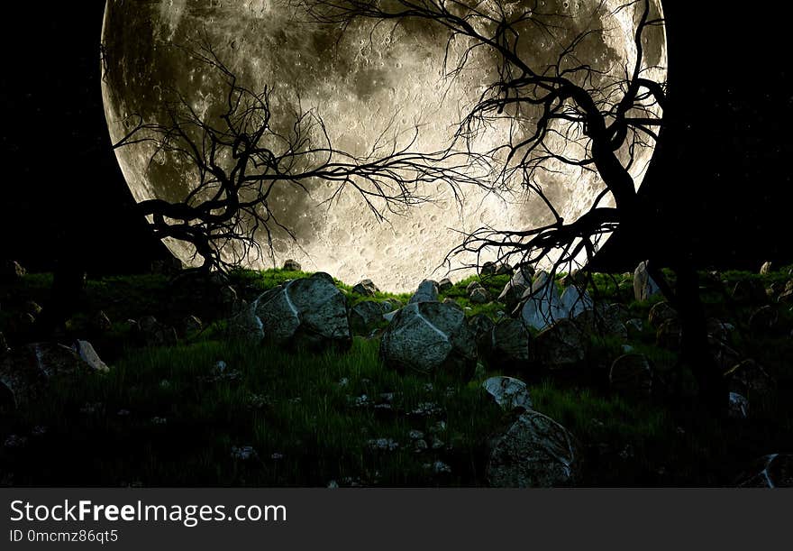 Dead trees at night in rocky field in front of huge moon. Dead trees at night in rocky field in front of huge moon