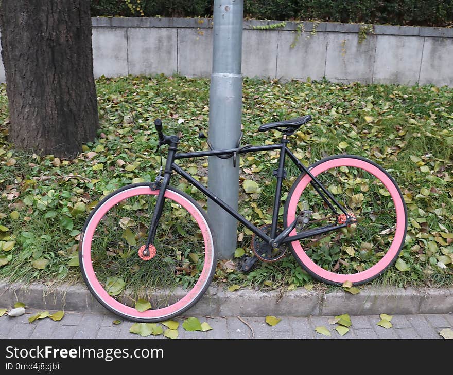 Bicycle, Road Bicycle, Bicycle Frame, Bicycle Wheel