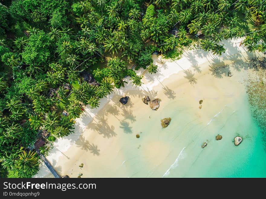 Amazing white sand beach sea shore with coconut palm tree shadow