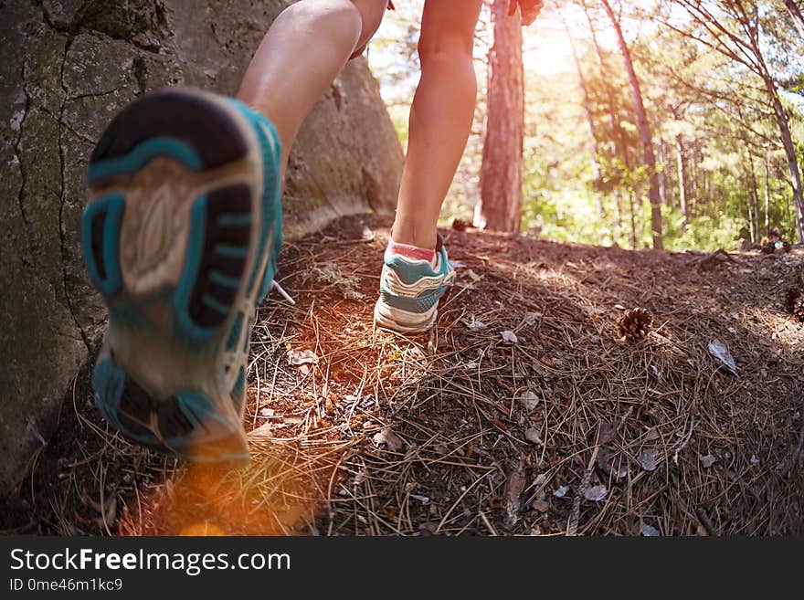 Sports shoes on women`s legs. Sneakers close up. A girl is walking in the woods. A woman runs along a forest trail. Cross-country running. Trail Running. Fisheye lens.