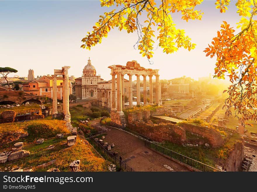 Forum - Roman ruins in Rome, Italy