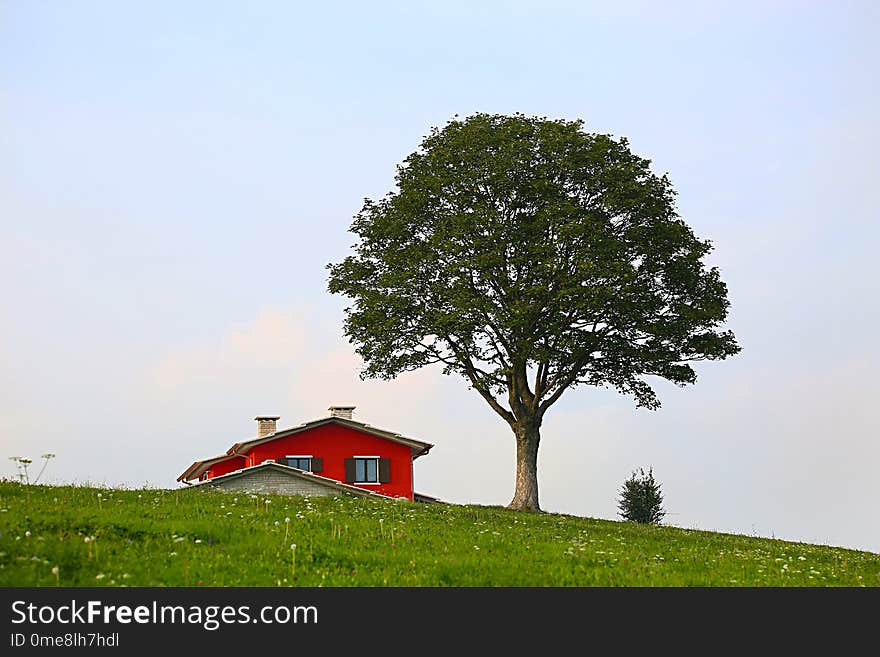 Tree and red house in a valley