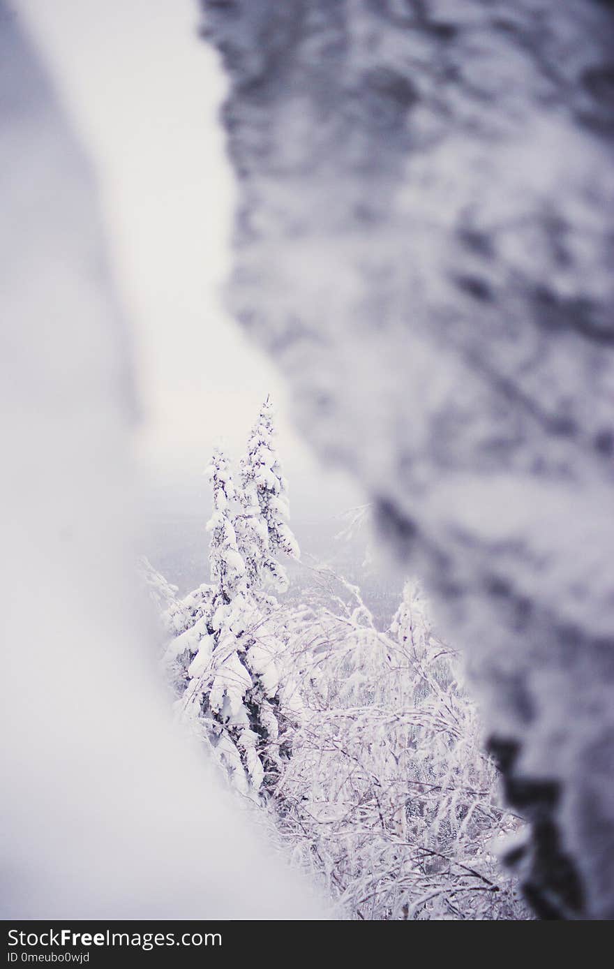 Top view from the ski slopes among the spruces on snow covered and foggy valley on the background mountain peaks. Skiing