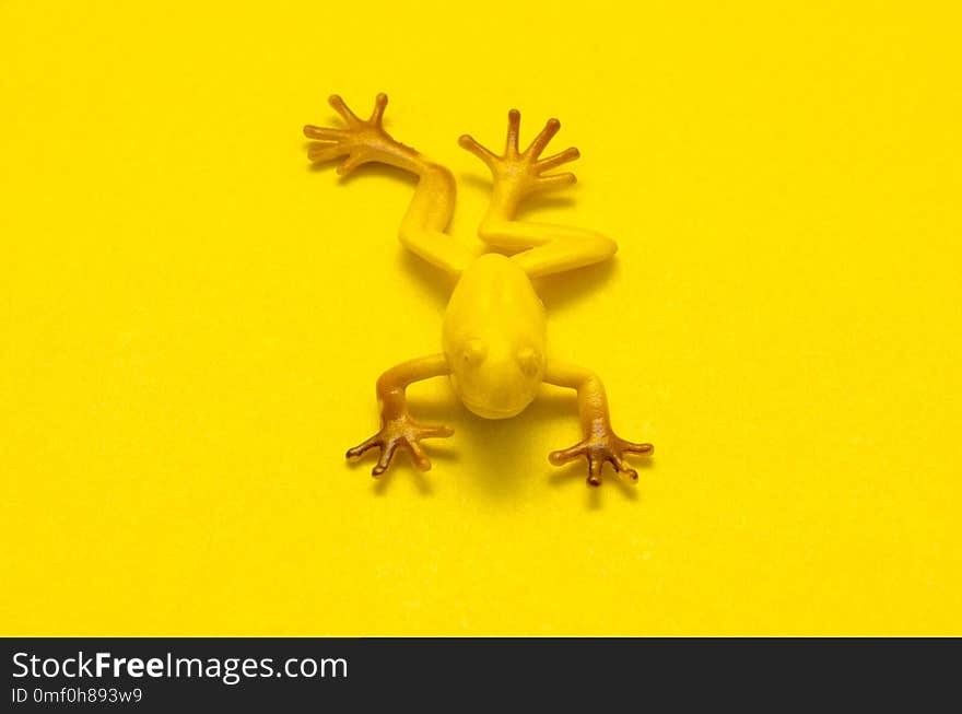 Plastic toy frog on yellow background. Toy yellow frog on yellow background