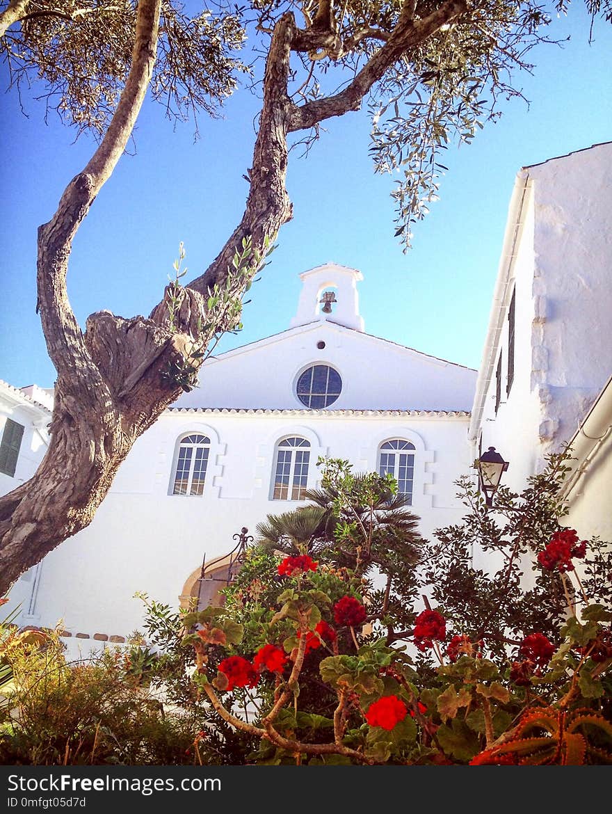 White washed building with flowers and tree in foreground. Blue sky and a church bell. White washed building with flowers and tree in foreground. Blue sky and a church bell