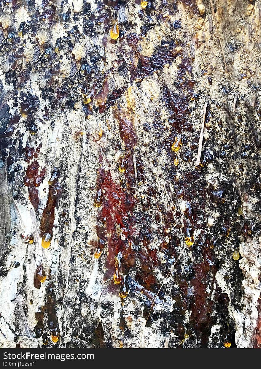 Background - resin on a pine.