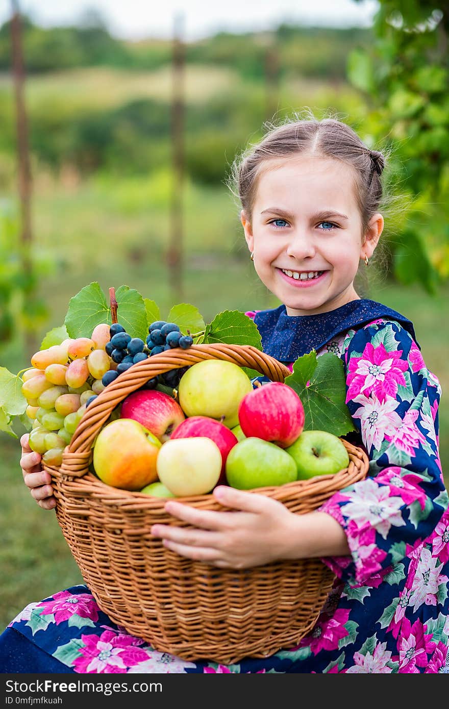 A little girl with a basket, with red apples and grapes .