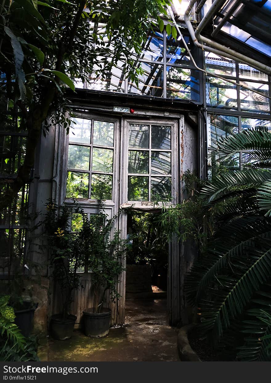 green deciduous jungle with an abandoned building