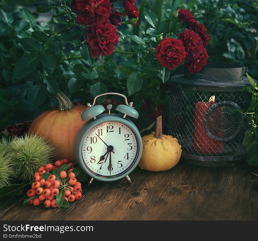 Autumn flowers from the garden, thanksgiving decor with alarm clock and pumpkins. Autumn flowers from the garden, thanksgiving decor with alarm clock and pumpkins