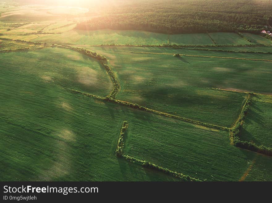 Aerial view of the field at morning