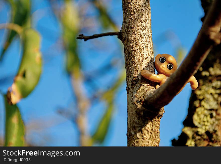 Photography of little monkey toy on tree branch with blue sky in background