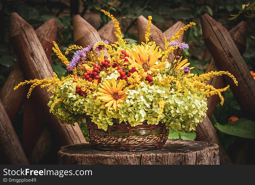 Outdoor Floristic Composition With Summer Flowers.