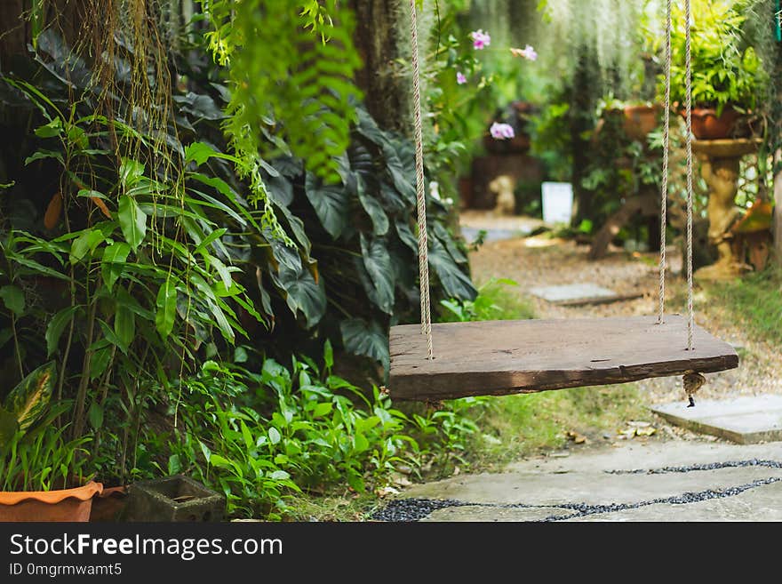 Wood swing in the green garden in the midst of nature.