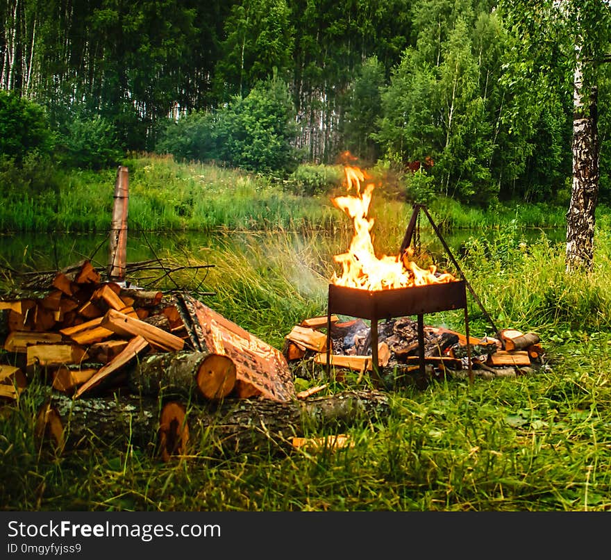 Summer evening in the forest, in the grill burning fire for cooking coals. Summer evening in the forest, in the grill burning fire for cooking coals