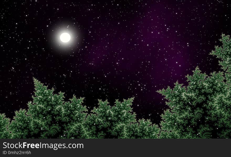 Night sky over pine forest with full moon