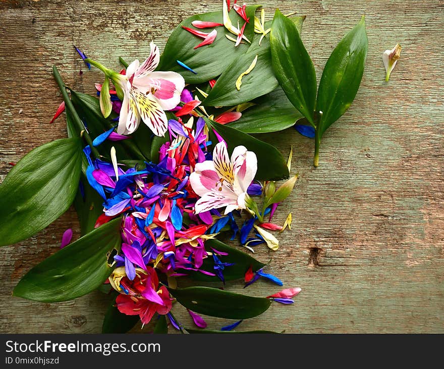 Flowers and petals on a wooden background. Chaos and lack of composition