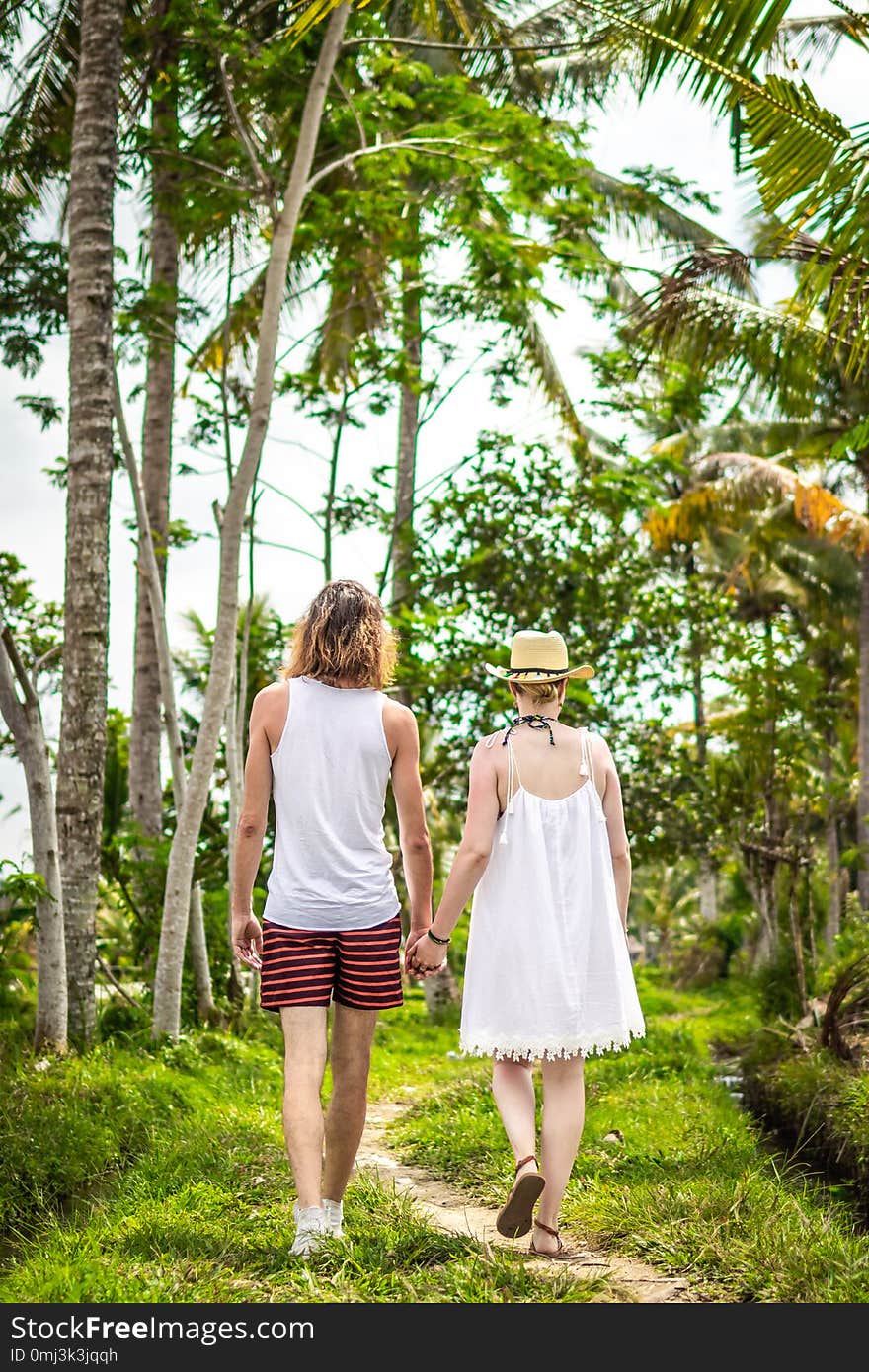 Young honeymoon couple walking among rice fields. Beautiful trip of newleds to Bali island, Indonesia. Nature, summer