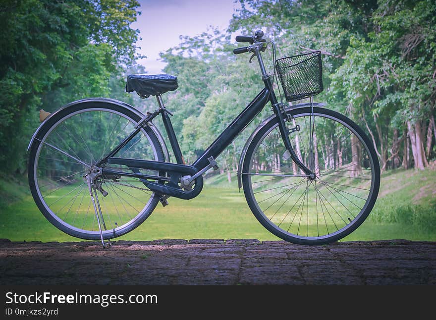 Vintage bicycle parked on the road.