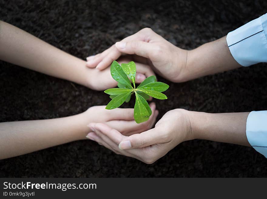 People hand group planting a seed in soil agriculture on natural