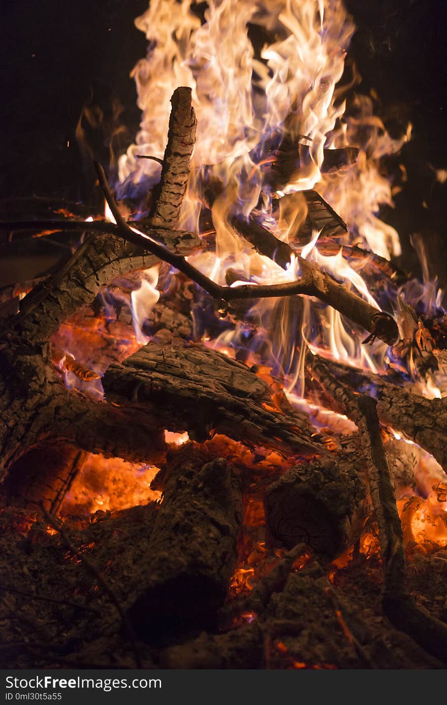 Brightly burning branches of trees in the fire at night, close-up