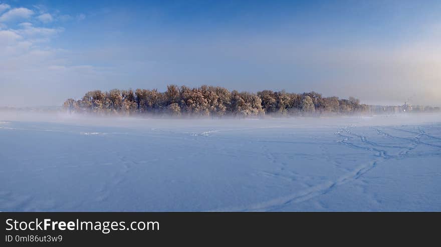 Winter Morning In The City Park Of Khmelnitsky