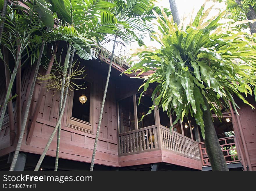 Jim thompson house, a traditional house in Bangkok,